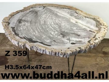 Versteend hout salontafel miljoenen jaar oud! Zeer exclusief, Overige materialen, Minder dan 50 cm, 50 tot 100 cm, Nieuw