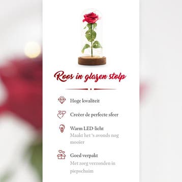 Nonchi Roos in Glazen Stolp - LED verlichting - Valentijn -, Ophalen of Verzenden, Zo goed als nieuw
