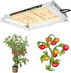 MARS HYDRO TS600 2,4µmol/J 100W, Ophalen of Verzenden, Nieuw, Kweeklamp