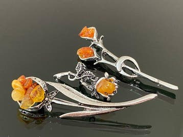 Natures Garden: Baltisch Amber Broche-Set – Drie Botanische