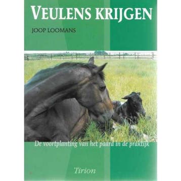 VEULENS KRIJGEN - J. Loomans 9789052103976, Boeken, Verzenden, Gelezen, J. Loomans