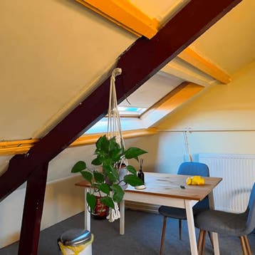 Kamer in Tilburg gevonden voor €355,- pm, 20 tot 35 m², Tilburg