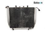 Radiateur Kawasaki ZX 12 R Ninja 2000-2001 (NINJA ZX-12R, Motoren, Verzenden, Gebruikt