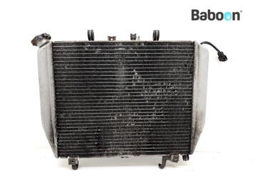 Radiateur Kawasaki ZX 12 R Ninja 2000-2001 (NINJA ZX-12R, Verzenden, Gebruikt