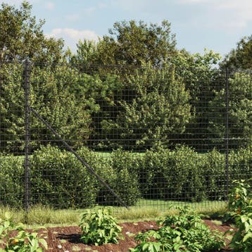 vidaXL Draadgaashek 2x25 m gegalvaniseerd staal, Verzenden, Nieuw, IJzer, 2 meter of meer