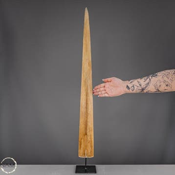 Exclusief Marlin-Rostrum op standaard – een indrukwekkend