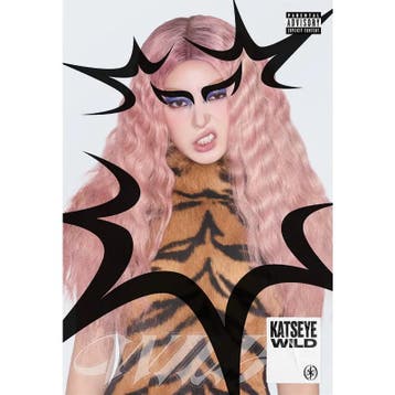 kpop merchandise - Katseye - Wild, Verzamelen, Verzenden, Zo goed als nieuw