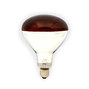 Infrarood lamp 250 Watt, Ophalen of Verzenden, Nieuw