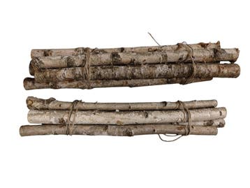 Berkentakken ca. 50 cm, Ophalen of Verzenden, Nieuw