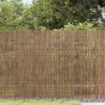 vidaXL Tuinscherm 600x100 cm riet, Verzenden, Nieuw, 1 tot 2 meter
