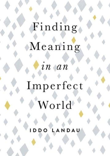 Finding Meaning in an Imperfect World - Iddo Landau, Verzenden, Zo goed als nieuw, Iddo Landau