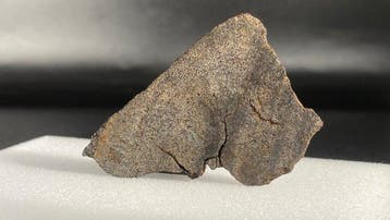 Primitieve achondriet (Winonaite) Noordwest-Afrika (NWA