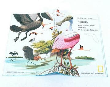 Vintage National Geographic Close-Up: USA – Florida en, Verzamelen, Verzenden