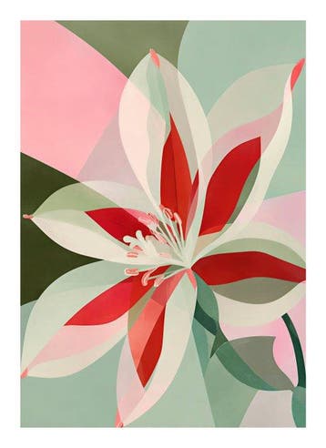 Xandro Peña - Amaryllis - XL