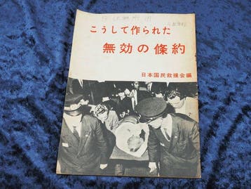 Japan National Relief Association -