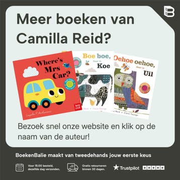 Peekaboo- Peekaboo Chick - Camilla Reid 9781839942662, Verzenden, Gelezen, Camilla Reid