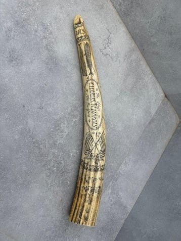 Walvis Bot - Spermwhale tooth decorated as scrimshaw replica