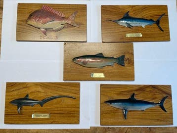 Wandbord (5) - ku - vis trofees