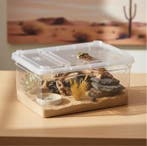 Transparante Reptielen Kweekbox – Mini Terrarium Box, Dieren en Toebehoren