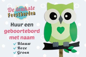Geboortebord Groene uil op tak huren voor jongen of meisje, Ophalen, Zo goed als nieuw, Geboortebord