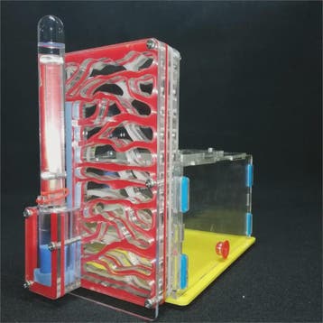 Acryl Mierenboerderij met Voederbakje - DIY Mierenkolonie Vi, Dieren en Toebehoren