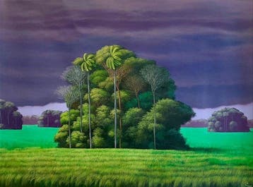 Reinier (XX) - Tormenta en el bosque