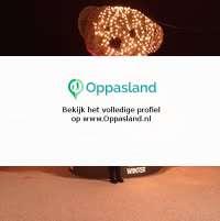 Ik ben Rosanna en ik zoek oppaswerk in Sprang-Capelle.