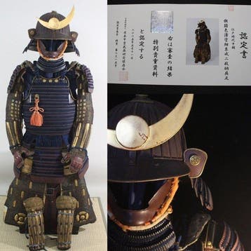 Harnas - Japan - Y1-177 Tetsusabiirourushi Konito Odoshi