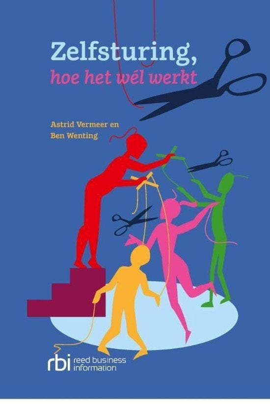 9789035249059 Zelfsturing, hoe het wel werkt | Tweedehands, Boeken, Schoolboeken, Zo goed als nieuw, Verzenden