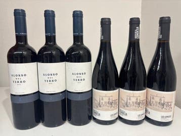 2020 Huerto de la Condesa, Los Cipreses (x3) & 2018 Alonso, Nieuw