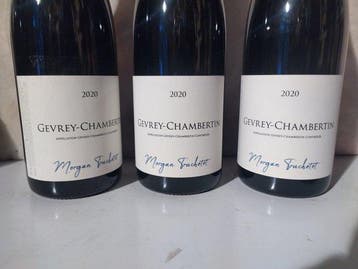2020 Morgan Truchetet - Gevrey Chambertin - 3 Flessen (0.75, Nieuw
