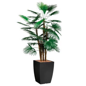 Rhapis Palm kunstplant, H150cm, Huis en Inrichting, Ophalen of Verzenden, Palm, 150 tot 200 cm