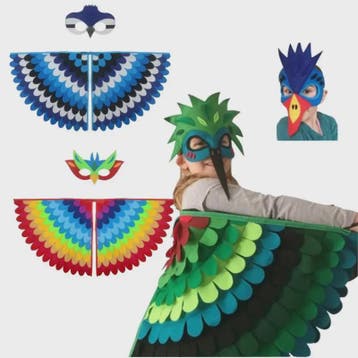Veren Vleugels en Masker Set - Vogel Kostuum voor Kinderen -