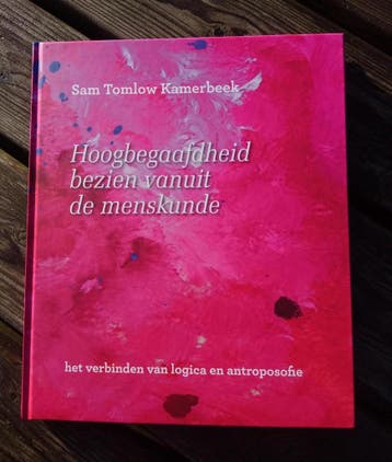 Hoogbegaafdheid bezien vanuit de menskunde 9789090306148, Verzenden, Zo goed als nieuw, Sam Tomlow Kamerbeek