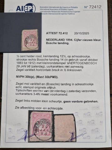 Nederland 1894 - Zeer zeldzame Bossche tanding in de nieuwe, Gestempeld