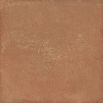 Vloertegel/Wandtegel Terracotta 60x60cm (Vloeren), 60 cm of meer, Nieuw, Ophalen of Verzenden, 10 m² of meer