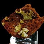 adamiet - Ojuela-mijn, Mapimí, Durango, Mexico - Hoogte: 5.5