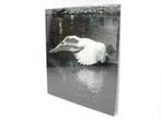 Wanddecoratie aluminium dibond - 203x181cm (hxb), Werkplek, Ophalen of Verzenden, Gebruikt, Overige typen