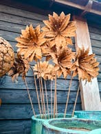 De mooiste grote roestbloemen bij the old way., Nieuw