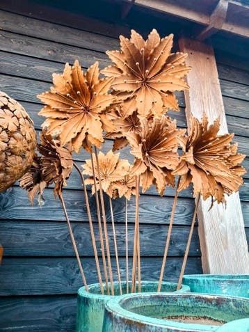 De mooiste grote roestbloemen bij the old way., Nieuw
