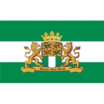 Rotterdamse Vlag Rotterdam met leeuw, Nieuw