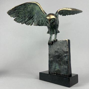 J. Zak (XX-XXI) - The owl - Bronze