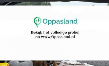 Koos zoekt een oppas in Amsterdam., Vacatures