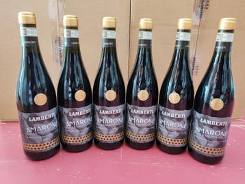 2019 Lamberti - Amarone della Valpolicella - 6 Flessen (0.75, Nieuw