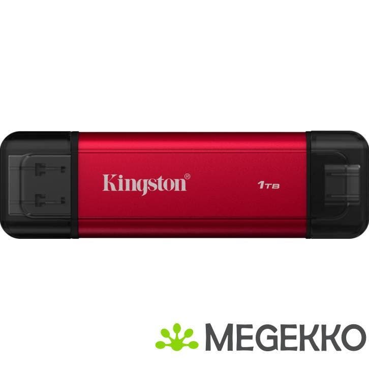 Kingston Dual Portable SSD 1TB, Computers en Software, Harde schijven, Nieuw, Verzenden