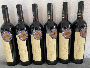 2021 Viña Seña , Mondavi & Chadwick - Aconcagua Vallei - 6, Nieuw