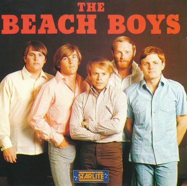 cd - The Beach Boys - The Beach Boys, Cd's en Dvd's, Cd's | Overige Cd's, Zo goed als nieuw, Verzenden
