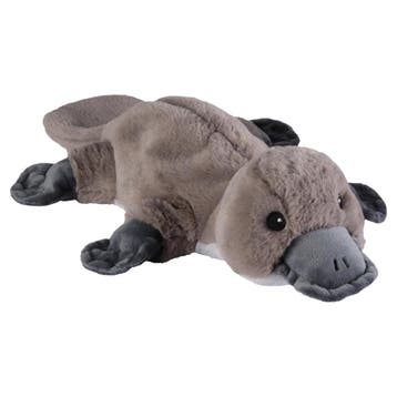 Warmies vogelbekdier knuffel - magnetron - 40 cm - lavendel, Verzenden, Nieuw