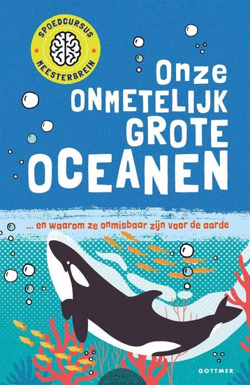 Boek: Spoedcursus meesterbrein - Onze - (als nieuw), Verzenden, Zo goed als nieuw
