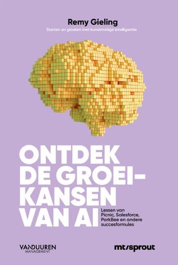 Ontdek De Groeikansen Van Ai | Gieling Remy | Nieuw, Ophalen of Verzenden, Nieuw, Gieling Remy
